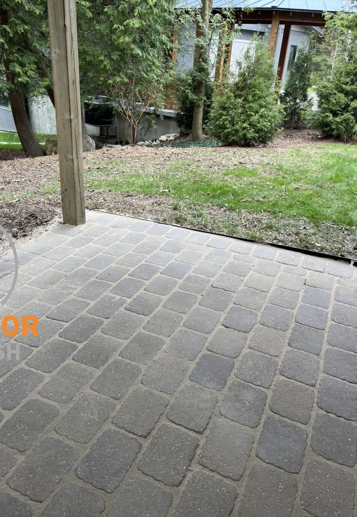Interlock patio under the cedars — after cleaning