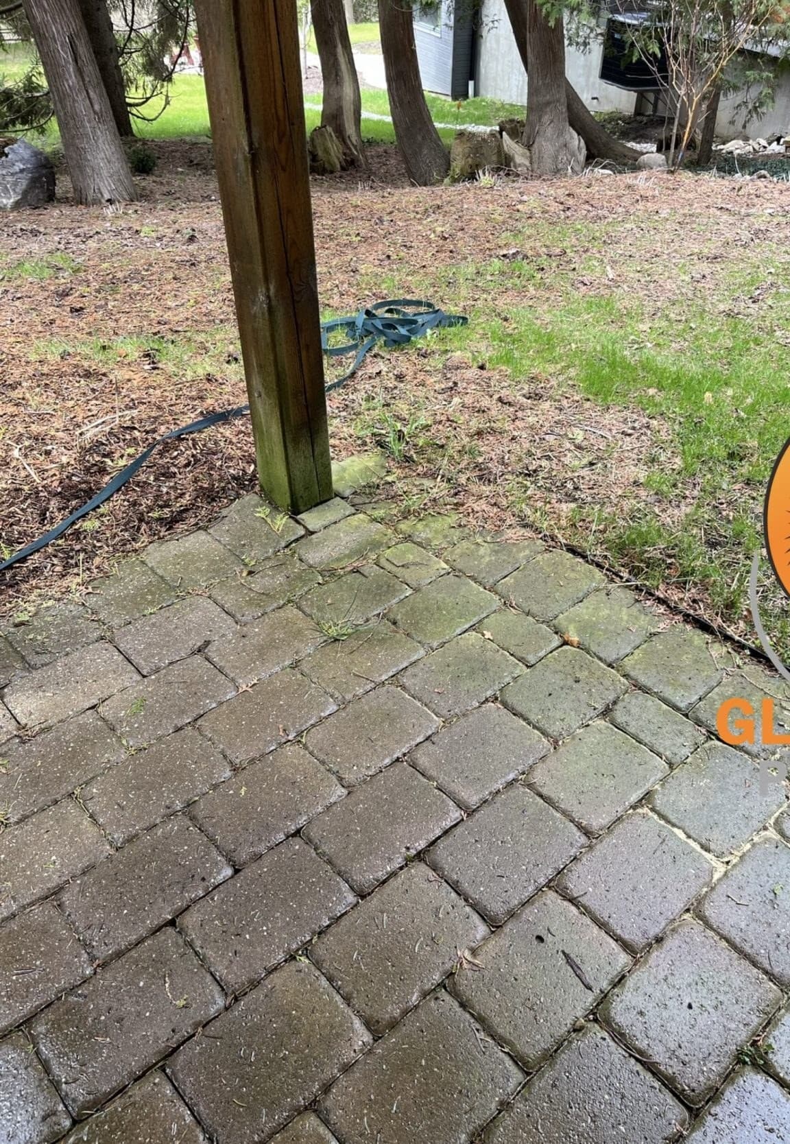 Interlock patio under the cedars — before cleaning