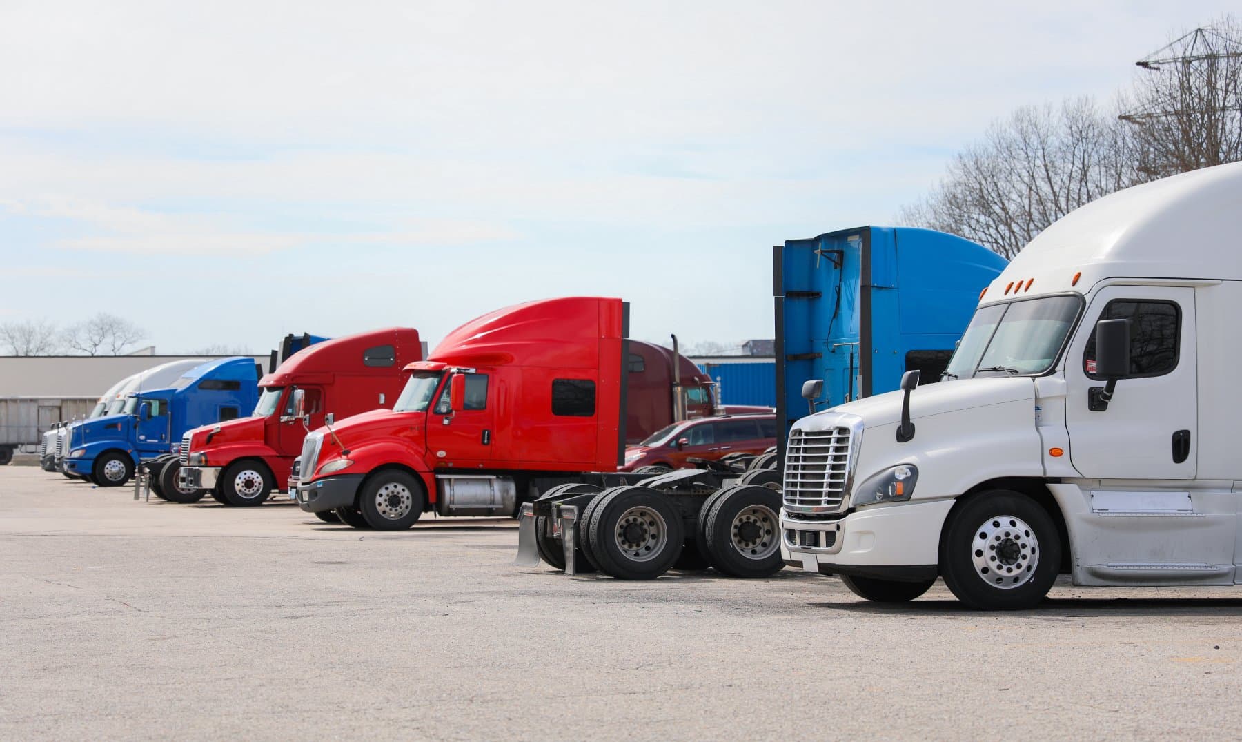 A row of semi trucks lined up in a yard